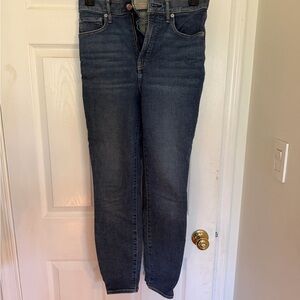 Everlane Dark Blue Skinny Jeans